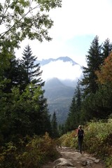 Zakopane, szlak na Hale Gasienicowa.