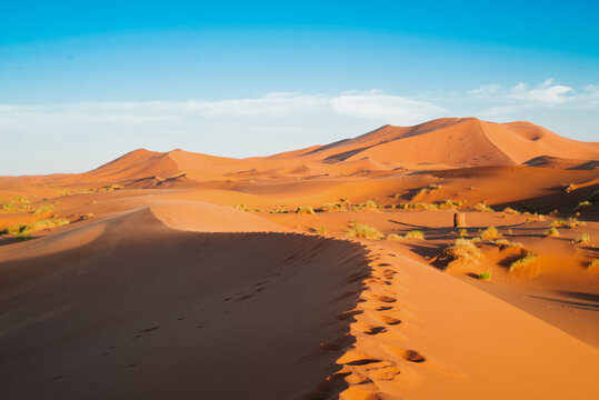 merzouga desert dunes