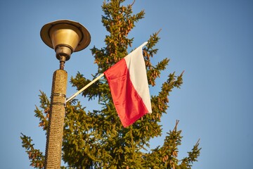 polska flaga - obrazy, fototapety, plakaty