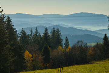 in den höhen von St. Peter im schwarzwald im Spätherbst