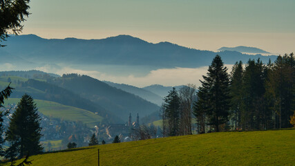 in den höhen von St. Peter im schwarzwald im Spätherbst