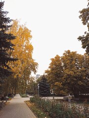 autumn in the park