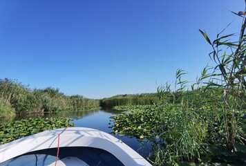 Donaudelta Rum&auml;nien