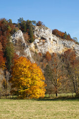 Laibfels im Oberen Donautal, unweit von Fridingen (Schwäbische Alb)
