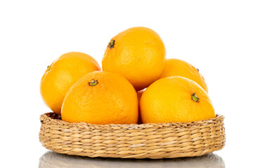 Several ripe organic tangerines in a plate of straw, close-up, isolated on white.