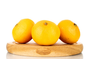 Several ripe organic tangerines in a plate made of wood, close-up, isolated on white.