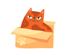 Cat sitting in box. Contented animal in new home. Delivery, garbage, cozy animal shelter. Caring owners, moving, apartment. Fluffy character lying in cardboax. Cartoon flat vector illustration