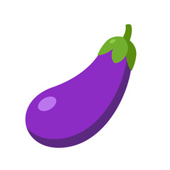 eggplant brinjal aubergine vector illustration