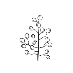 hand drawn branch with berries. vector element for christmas and new year greeting card and invitation design