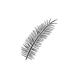 short pine branch. hand drawn floral illustration. vector element for winter greeting and invitation design