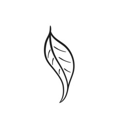 sketchy leaf image. hand drawn contour illustration. vector floral element for invitation design
