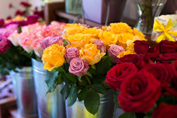Beautiful colorful flowers in flower shop