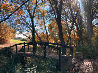 bridge in autumn