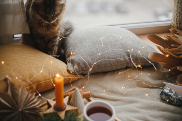 Cute cat, christmas stars, lights, pine trees, candle in cozy scandi room. Atmospheric winter Hygge