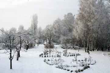 oszroniony biły ogród piękny magiczny widok