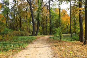 Autumn day in park