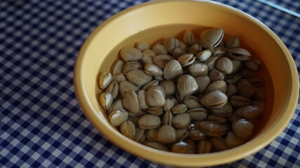 pistácio - frutos secos