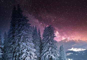 amazing winter landscape with snowy fir trees