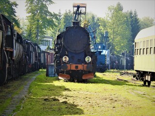 pociąg lokomotywa © Urszula