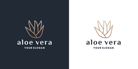 aloe vera with line art logo design inspiration