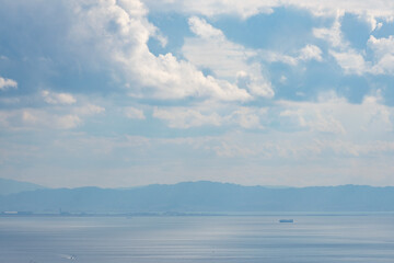 コスモス畑の花の群生。黄色・ピンクの花々を望遠レンズで撮影