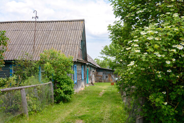 Fototapeta na wymiar Belarusian village. Country house. Compound. Nature of Belarus