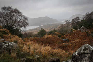 Views from Killarney National Park, Ireland