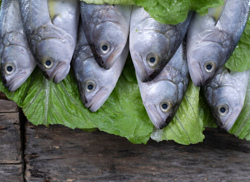 fish on the market table