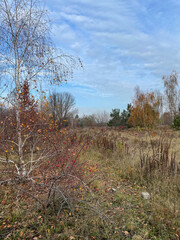 Biesenhorster Sand, Karlshorst, Naturschutzgebiet,Herbst