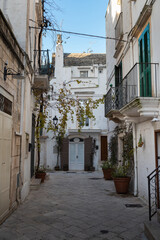 Locorotondo, Bari Province, Apulia, southern Italy