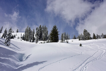 Fototapeta na wymiar Winter Scene in Lassen National Park, California