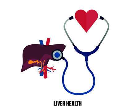 liver health concept. liver icon in flat style. editable vector.
