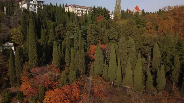 Bright colors of the autumn nature of the Crimea. Beautiful juniper forests on the hills of Yalta