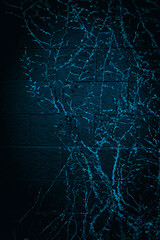 Naklejka premium Abstract nightscape of vines on the dark wall. Traces of vine roots remained on the concrete background.