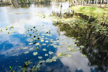 Hillsborough river at Tampa, Florida	