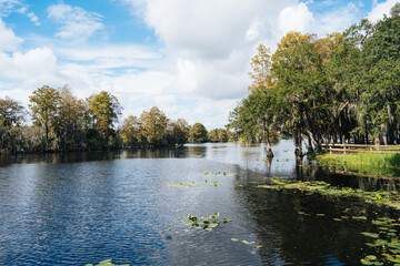 Hillsborough river at Tampa, Florida	
