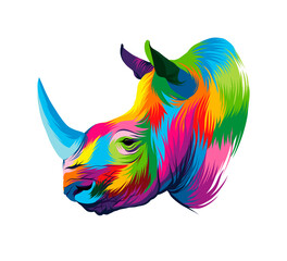 Rhino head portrait, rhinoceros, color drawing, realistic. Vector illustration of paints © Liliia