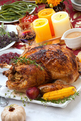 Traditional Thanksgiving Fall Roasted Turkey