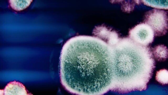 Fungal spores in the liquid. Viral bacterium in the blood.Fungal infection. Distribution and multiplication of fungi and bacteria. Virus attack.