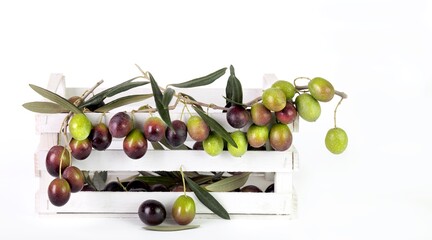 Olive verdi e olive nere su fondo bianco