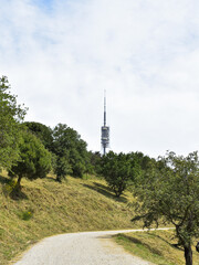 Collserola comunication tower beyond green forest of Barcelona mountain