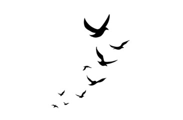 a flock of flying birds in black isolated on a white background. the element illustration in silhouette style. a simple design for a decorative element and tattoo.