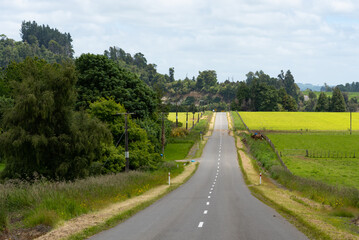 Fototapeta na wymiar Rural scenery along the Manawatu Scenic Route in New Zealand