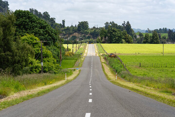 Fototapeta na wymiar Rural scenery along the Manawatu Scenic Route in New Zealand