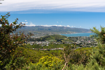 Fototapeta na wymiar Panoramic view of Wellington, New Zealand on a sunny day