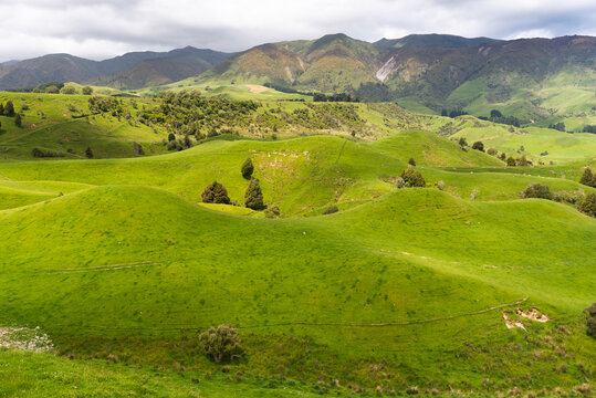 Farmland in the North Island of New Zealand