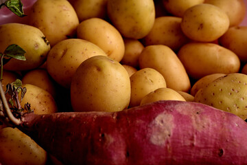Close-up de batatas amarelas e uma roxa com iluminação lateral
