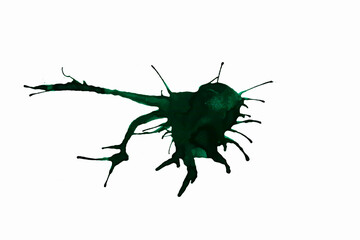 Detailed black and green  ink splash,brush stroke,black ink blot isolated on white background. 