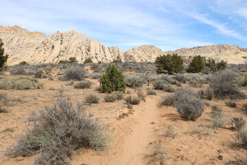 White Rocks Trail through sagebrush meadow, Snow Canyon State Park, Utah