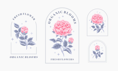 Fototapeta na wymiar Set of vintage feminine beauty rose floral logo elements with frame